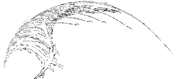Sweeping crescent wing